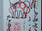 よし@兵庫さんの達磨寺の投稿写真3