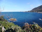 こぼらさんの亀島園地の投稿写真1
