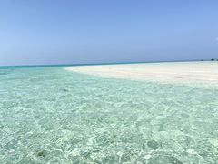 のんさんのラッキークローバーへの投稿写真1