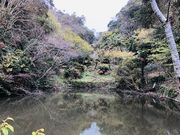 てれすぱさんの抱湖園の投稿写真1