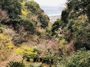 てれすぱさんの抱湖園の投稿写真2