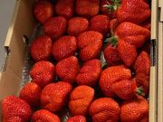 あこちゃんさんの元気farmの投稿写真2