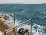 マックさんの道の駅 白崎海洋公園 パークセンターの投稿写真19