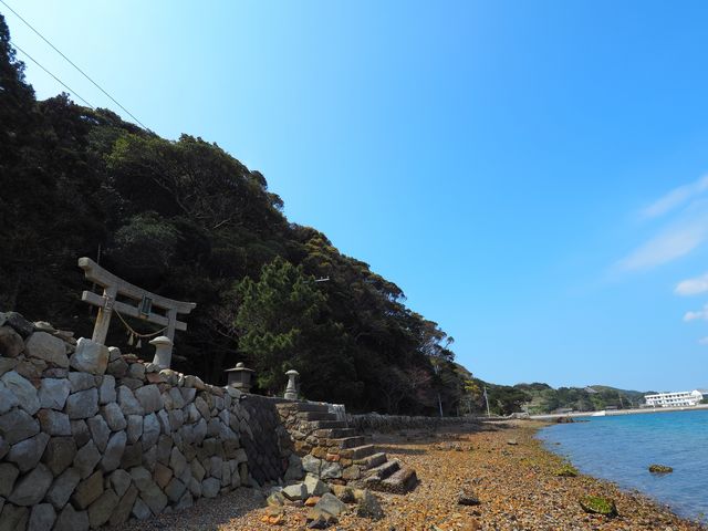 なおなおさんの白鳥神社の社叢の投稿写真3