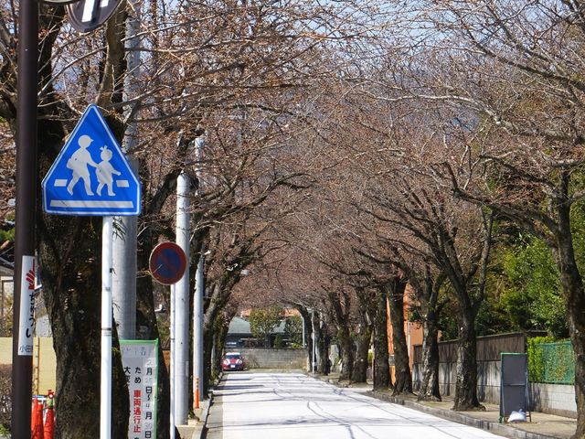 西海子小路