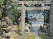 なおなおさんの白鳥神社の社叢の投稿写真1