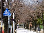 ニコちゃんさんの西海子小路の投稿写真1