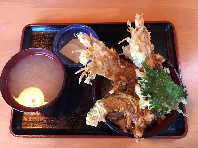 天丼_イルカ