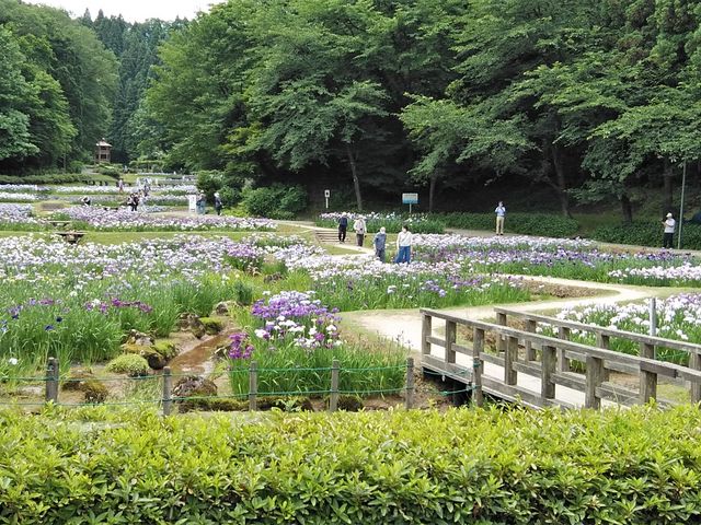 とくちゃんさんのしらさぎ森林公園の投稿写真4