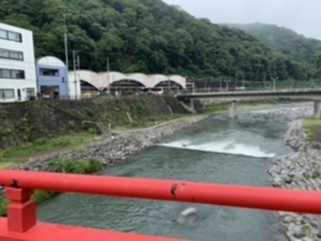 あじさい橋から_早川