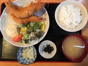 ぷぅさんのイルカの投稿写真1