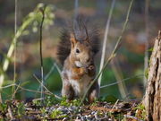 きこさんの青葉公園の投稿写真1