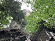 hijikigokeさんの迦葉山の投稿写真2