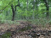 hijikigokeさんの迦葉山の投稿写真4