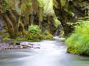 きこさんの樽前ガローの投稿写真1
