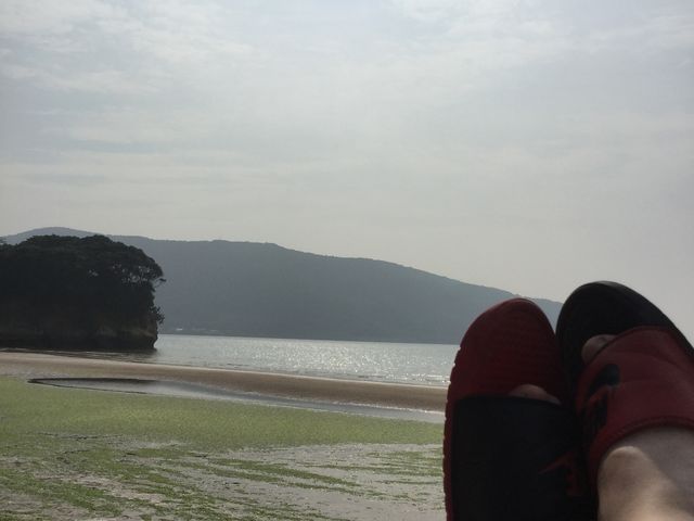 トトロさんのぎぎが浜海水浴場の投稿写真3