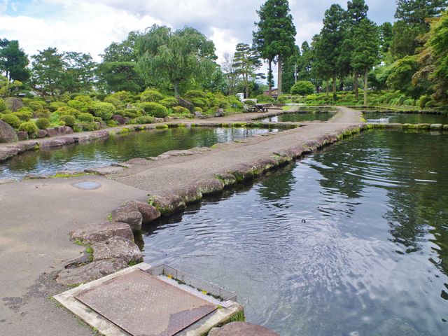 林養魚場ますつり公園