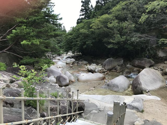 川めちゃくちゃきれいです。
小さな子供達もちゃんと見ていれば安全に遊べます_朝明ロッジ