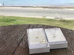 さかさんさんの真珠工房 真珠の里への投稿写真1