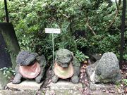 おりょうまこさんの清滝寺の投稿写真5