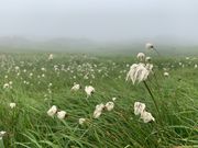 hijikigokeさんの苗場山の投稿写真3