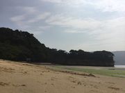 トトロさんのぎぎが浜海水浴場の投稿写真2