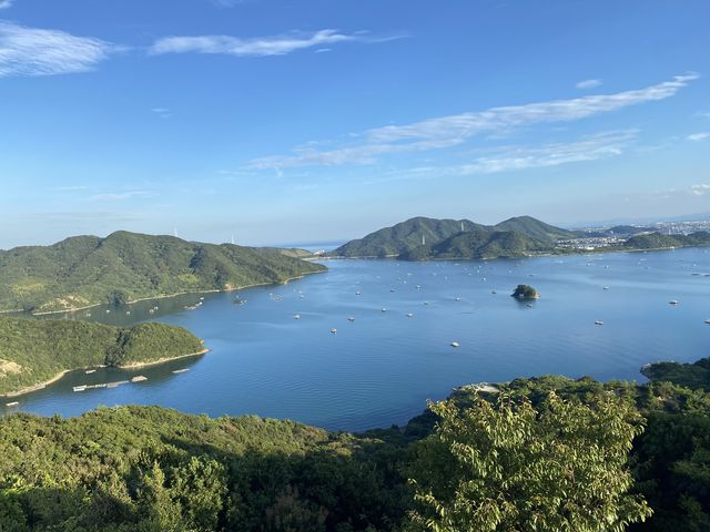徳島の絶景ポイント、四方見展望台に隣接しています。_フレンチモンスター瀬戸内フードアート