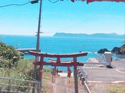 アリガトウオリゴ糖後藤は五島列島へgotoさんのみちのくソレイユの投稿写真1