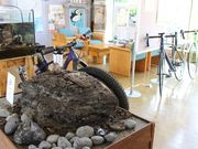 たかちゃんさんの十勝川温泉ぶらちゃりの投稿写真2