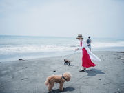 keito010さんの保田海岸の投稿写真1