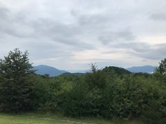 のりさんの道の駅 しもごうへの投稿写真1