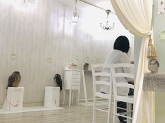 じゅんさんのアキバフクロウ フクロウカフェ 東京 Owl Cafe Akiba Fukurouへの投稿写真1
