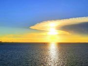 じゃるさんの中の島大橋の投稿写真2