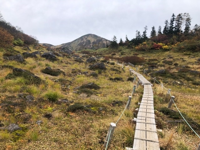 木道が多いので歩きやすい_火打山