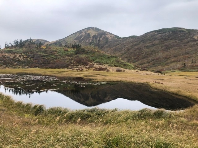 湿原。これから登る火打山が。_火打山