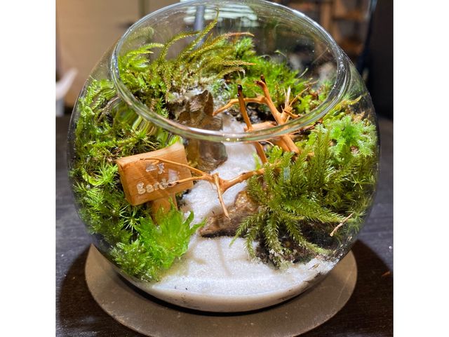 タイトル 山奥から流れる清流_苔庵介る-Scale-