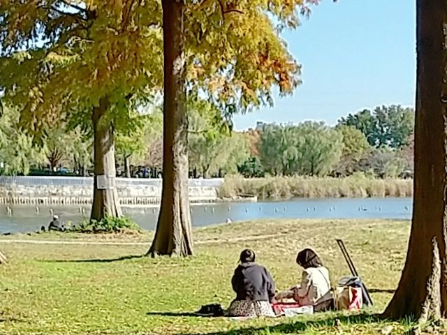 秋のピクニックを楽しむ女の子たち。_舎人公園