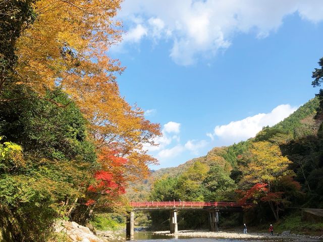 ほーりーさんの天神峡(岡山県井原市)の投稿写真2