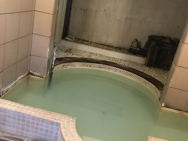 地下の内風呂_芦ノ湖温泉かけ流し貸切露天風呂の宿 箱根エレガンス