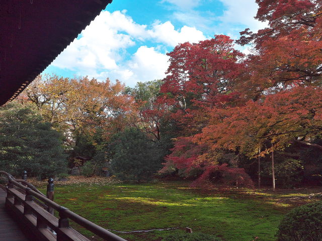 宝鏡寺_宝鏡寺(人形の寺)