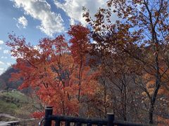かのんさんの四万やまぐち館への投稿写真1