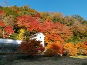 森パパさんの堀庭園の投稿写真4