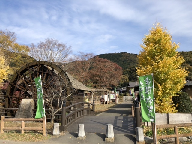 茨城県 小町の館 水車 紅葉_小町の館