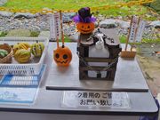 まりもさんの松前城資料館の投稿写真1
