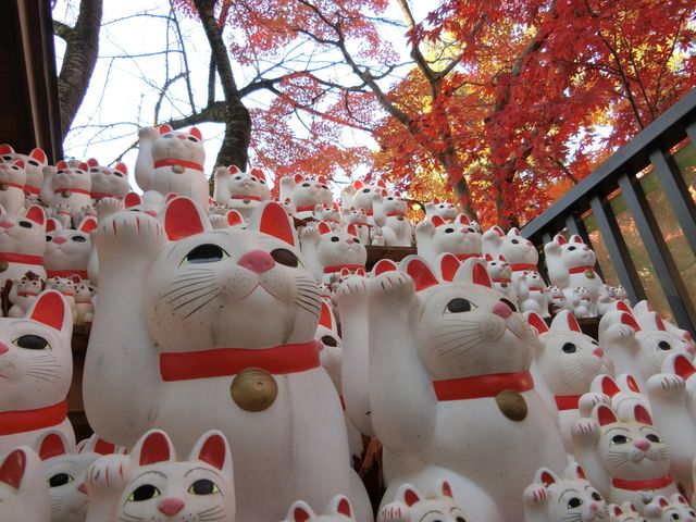 招き猫が撮影スポットです。_豪徳寺