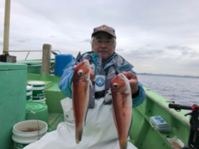 この時期にしてはまずまずのアマダイ_釣船 喜久丸