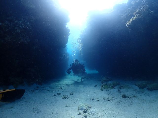 光が水中に差し込み綺麗なところを撮ってくれました_aqua ring