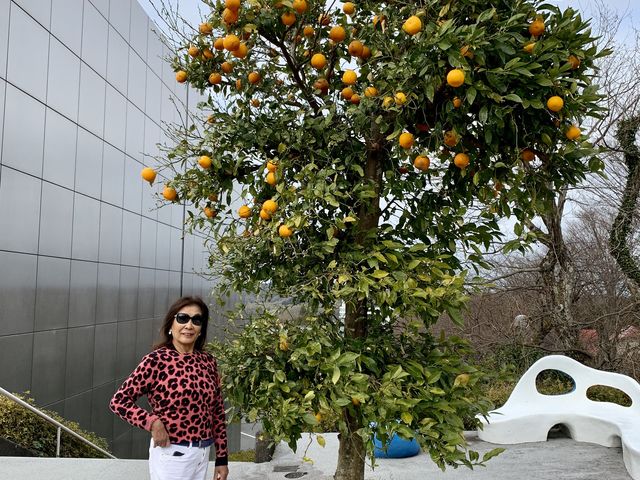 限界前ピロティなて_池田20世紀美術館