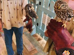 れみりん3さんの小動物カフェ はなはなへの投稿写真2