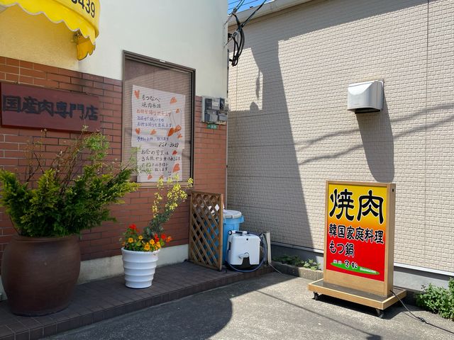 金松_金松